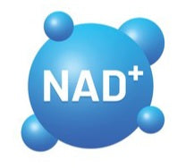 NAD+ 500MG